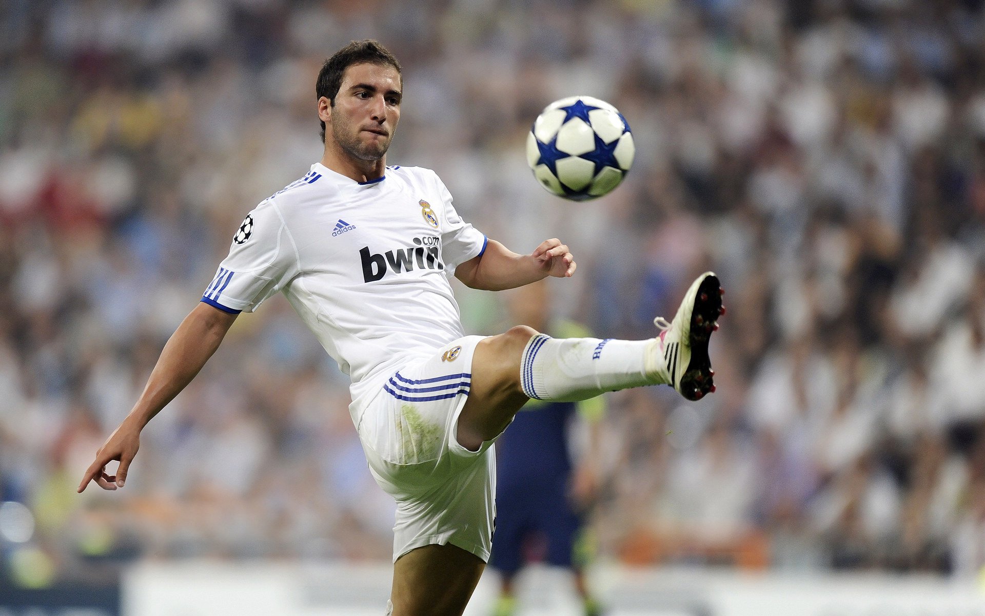 凯尔特人队全员齐心协力，期待夺冠